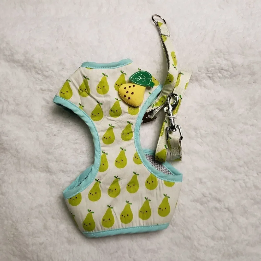 Cat Harness & Leash